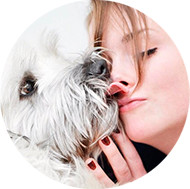 Massagem Para Cães, Cachorros, Animais: Aprenda a Massagear Seu Pet