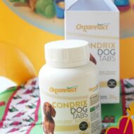 Condrix Dog Tabs – Suplemento Alimentar| Organnact Saúde Animal