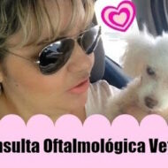 Vlog: Consulta Oftalmológica Veterinária da Minha Filha Molly (Poodle)