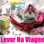 Mala de Viagem Pet (Kit Necessário – Itens Essenciais Para os Cachorros/Animais e Muitas Dicas)