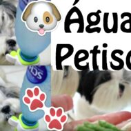 Tudo Sobre Alimentação Canina/Pet: Quantidade e Horários de Água e Petiscos Para Filhotes, Adultos e Idosos