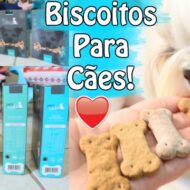 Biscoitos Para Cães/Cachorros de Carne, Frango, Hipoalergênico e Vegano | The Pet’s Taste | Veda5.2