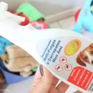 Desodorante Anti Pulgas e Carrapatos MonAmi Para Cães + Efeito Repelente de Insetos | Veda31