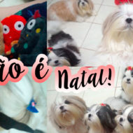 Vlog do Nosso Natal + Ceia e Presentes Pet das Minhas Cadelinhas Shih Tzu
