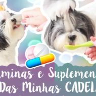 Quais Vitaminas e Suplementos Eu Dou Para Minhas Shih Tzu (Cachorrinhas) E Para Quê? #VEDA21