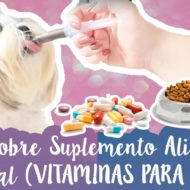 Quais Vitaminas O Cachorro Precisa + Vantagens e Desvantagens De Dar Suplemento Alimentar Ao Animal #VEDA18