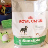 Ração Mini Sensible Royal Canin Para Cães Adultos/Maduros de Raças Pequenas e Paladar Sensível/Exigente